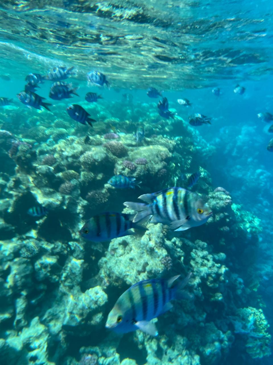 В прошлом году мы с женой летали в Стамбул, но запомнил я от силы процентов 10. Фото есть, но хочется запомнить и свои ощущения. В этот раз в Египте я стал делать заметки, и вот дошли руки собрать из них что-то читаемое. 9