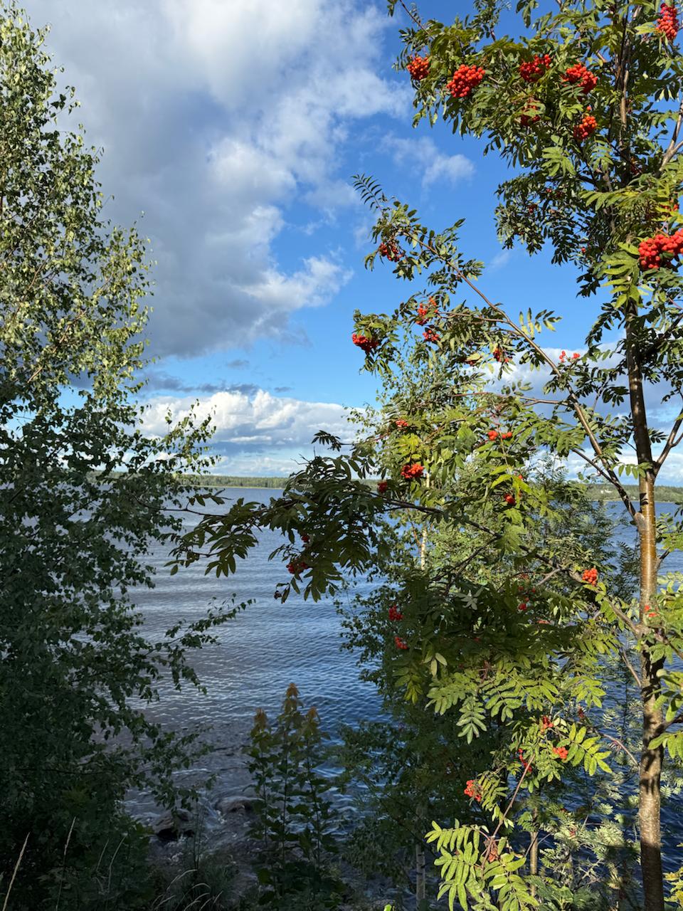 Я тут понял, что совсем не помню свои маршруты в отпуске: куда мы с женой ходили на завтрак, где гуляли, какие экскурсии посещали. Поэтому быть этому каналу дневником памяти. Делюсь нашим питерским маршрутом: 9